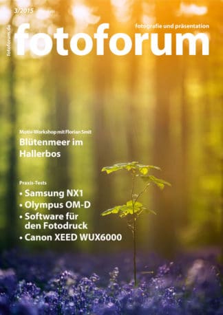 fotoforum Magazin </br> Ausgabe  3/2015
