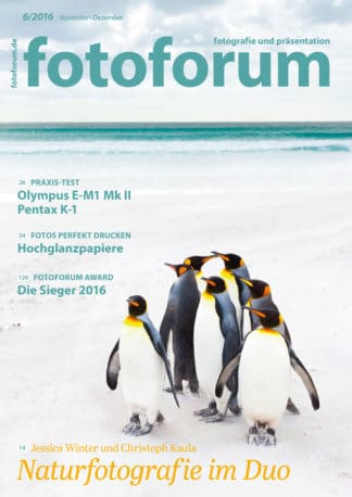 fotoforum Magazin </br> Ausgabe  6/2016