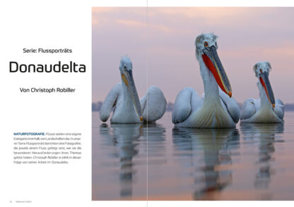 fotoforum Magazin </br> Ausgabe  5/2023 – Bild 4