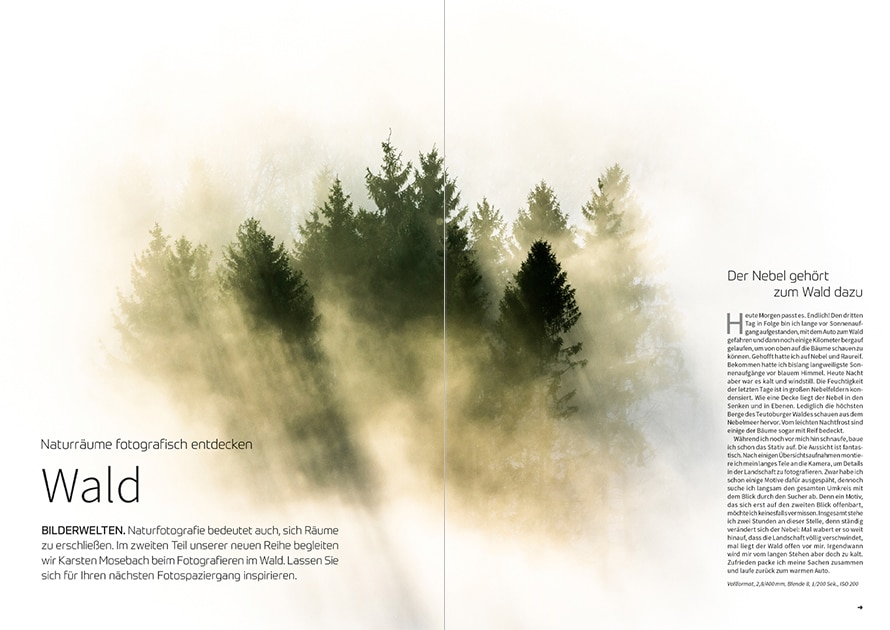 fotoforum Magazin </br> Ausgabe 1/2022 5 fotoforum Magazin </br> Ausgabe  1/2022 – Bild 5