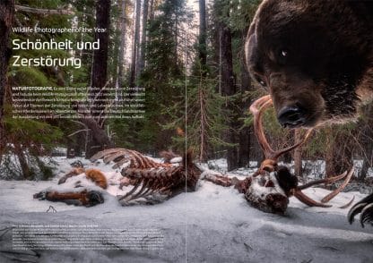 fotoforum Magazin </br> Ausgabe  1/2022 – Bild 3