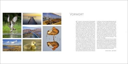<b>DÜMMER</b><br />Naturschutzparadies und Sehnsuchtsort – Bild 2