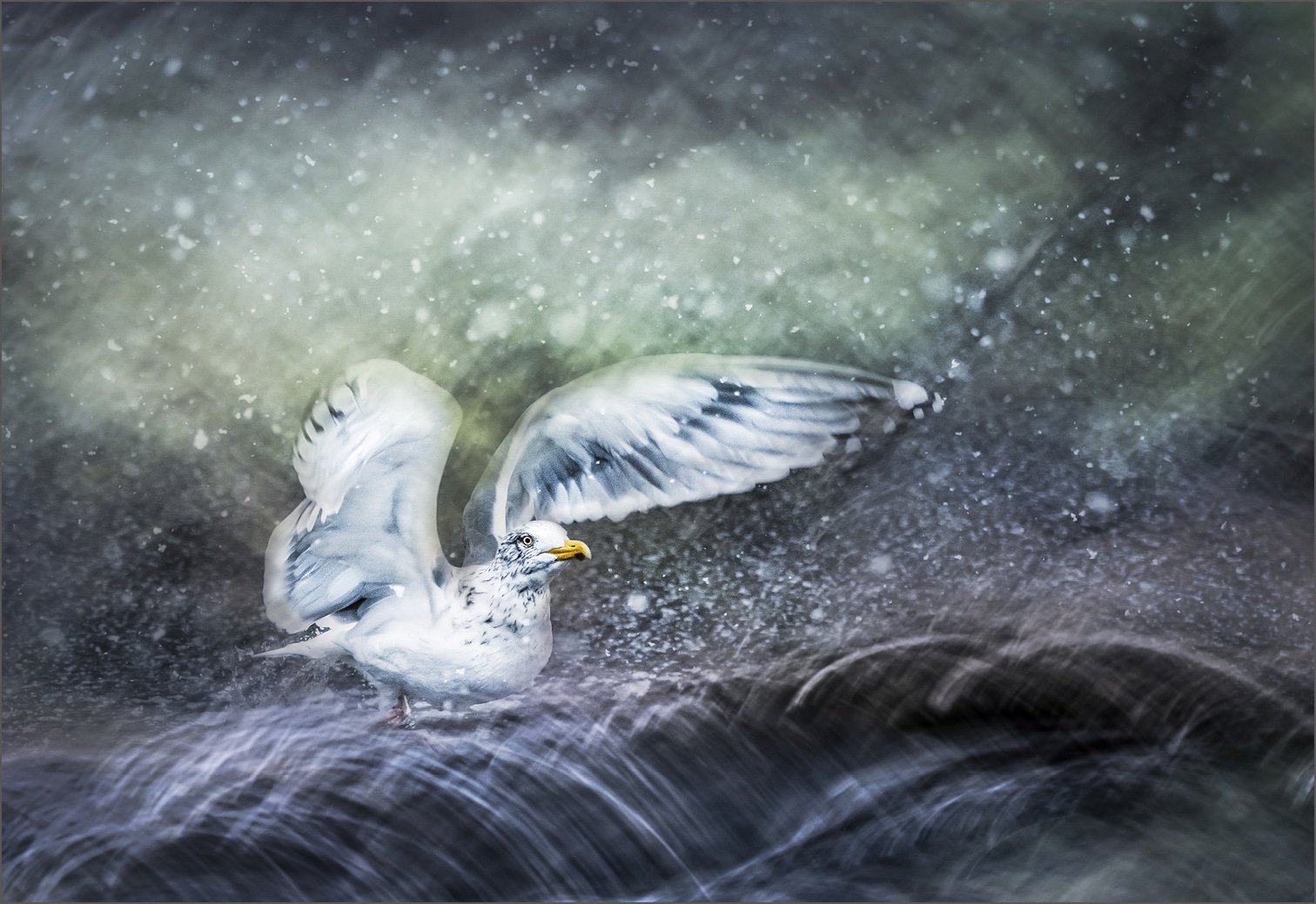 <b>Im Licht eines Meeres</b><br />Natur und Fotografie 7 Im Licht eines Meeres - Wenche Dahle - Edition Bildperlen