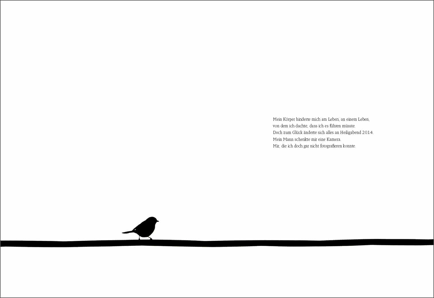 <b>Im Licht eines Meeres</b><br />Natur und Fotografie 9 Im Licht eines Meeres - Wenche Dahle - Edition Bildperlen
