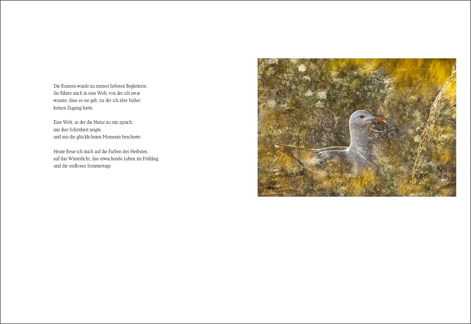 <b>Im Licht eines Meeres</b><br />Natur und Fotografie 11 Im Licht eines Meeres - Wenche Dahle - Edition Bildperlen