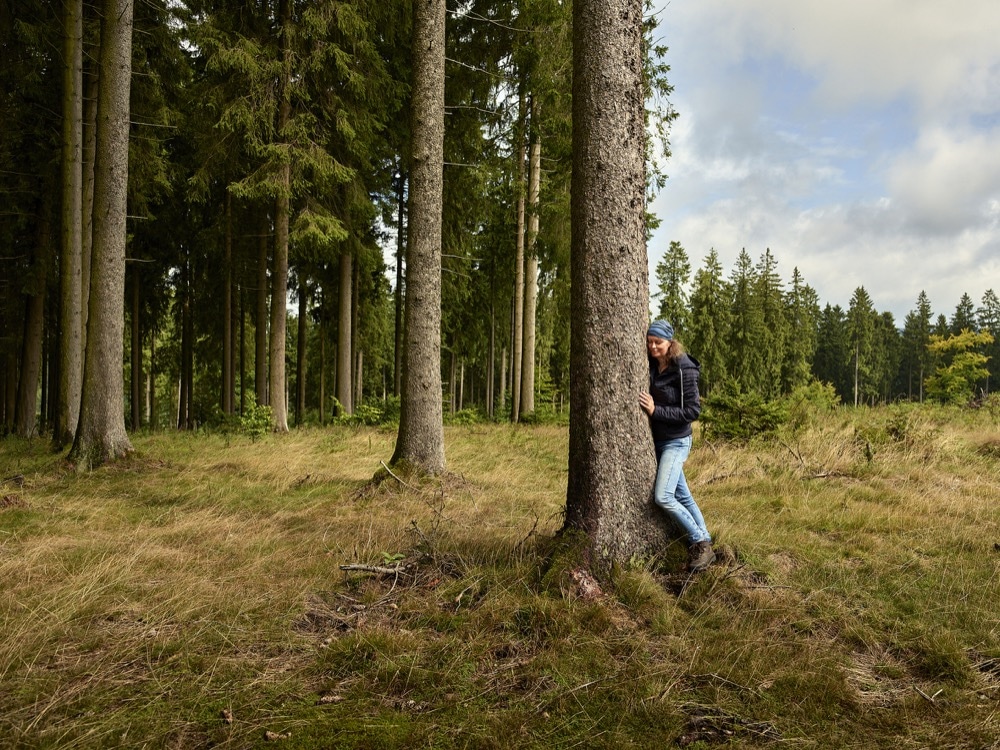 <b>Durch Deutschland</b><br />Zwei Wanderungen in 101 Tagen 14 Durch Deutschland – Zwei Wanderungen in 101 Tagen – Andreas Teichmann