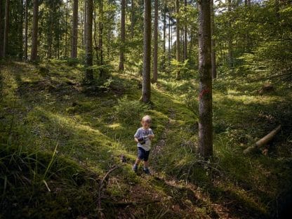 Durch Deutschland – Zwei Wanderungen in 101 Tagen – Andreas Teichmann