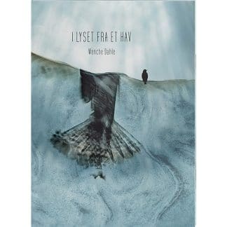Book cover Wenche Dahle I Lyset Fra Et Hav - Im Licht eines Meeres