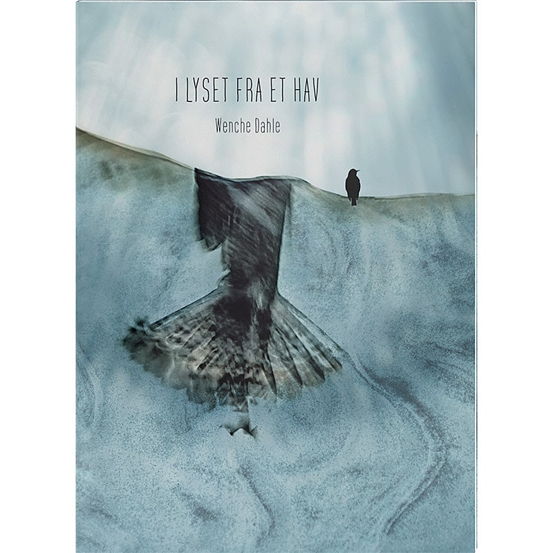 <b>I LYSET FRA ET HAV</b><br />Natur og fotografi 1 Book cover Wenche Dahle I Lyset Fra Et Hav - Im Licht eines Meeres