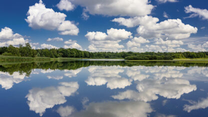<b>Ahlhorner Fischteiche</b><br />Eingebettet zwischen Urwald und Geest – Bild 4