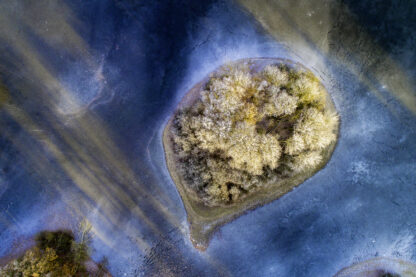 <b>Ahlhorner Fischteiche</b><br />Eingebettet zwischen Urwald und Geest – Bild 10