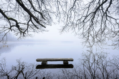 <b>Ahlhorner Fischteiche</b><br />Eingebettet zwischen Urwald und Geest – Bild 3