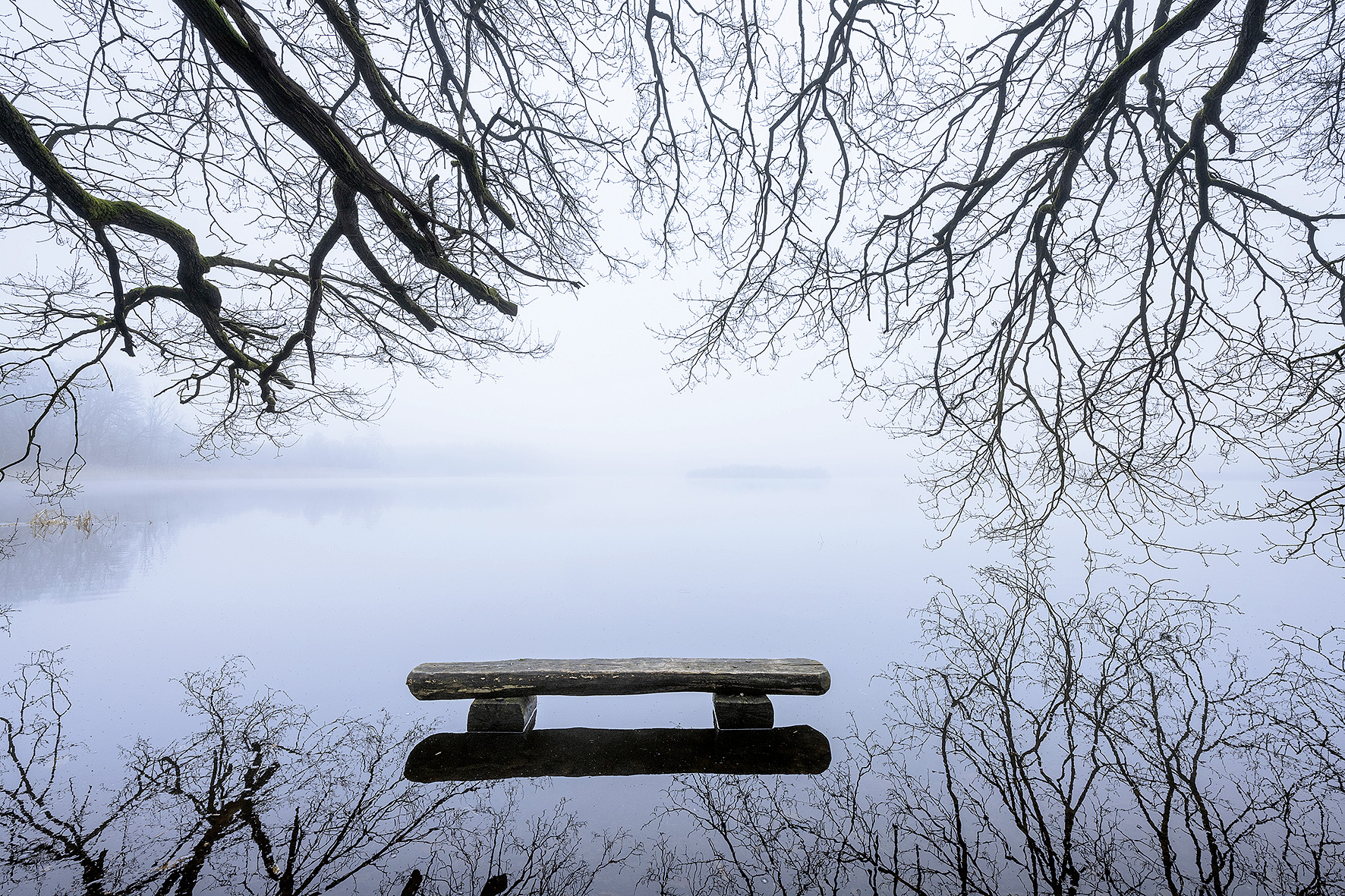 <b>Ahlhorner Fischteiche</b><br />Eingebettet zwischen Urwald und Geest 3 <b>Ahlhorner Fischteiche</b><br />Eingebettet zwischen Urwald und Geest – Bild 3
