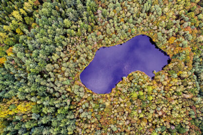 <b>Ahlhorner Fischteiche</b><br />Eingebettet zwischen Urwald und Geest – Bild 2