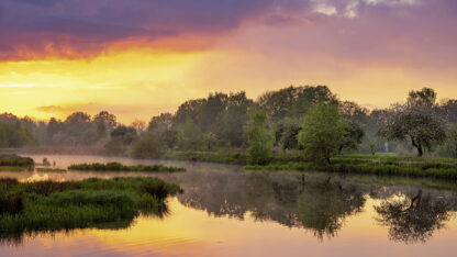 <b>Ahlhorner Fischteiche</b><br />Eingebettet zwischen Urwald und Geest – Bild 12