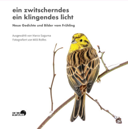 fotoforum Bücher 14 ein zwitscherndes ein klingendes licht | Edition Bildperlen