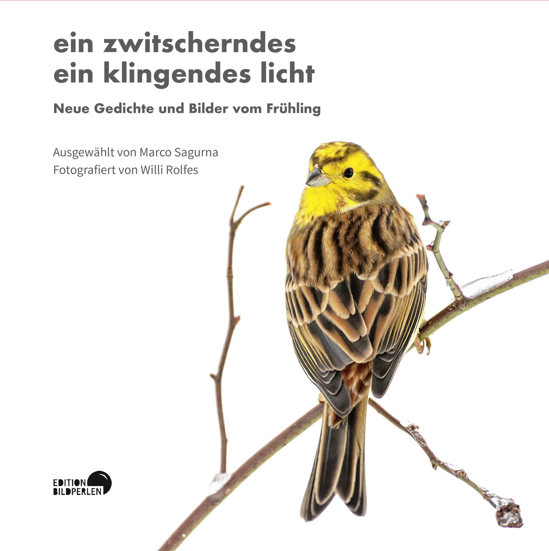 <b>ein zwitscherndes ein klingendes licht</b><br />Neue Gedichte und Bilder vom Frühling 1 ein zwitscherndes ein klingendes licht | Edition Bildperlen