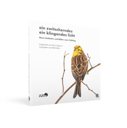 ein zwitscherndes ein klingendes licht | Edition Bildperlen