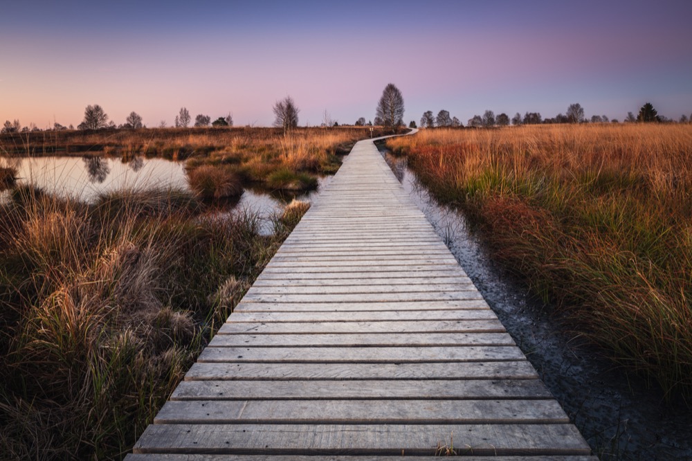 <b>Hohes Venn: Wasser and Moor</b><br />31.10.2025 - 02.11.2025 3 <b>Hohes Venn: Wasser and Moor</b><br />31.10.2025 - 02.11.2025 – Bild 3