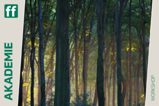 fotoforum Akademie 29 <b>Waldgeheimnisse</b><br />31.10.2025 - 02.11.2025