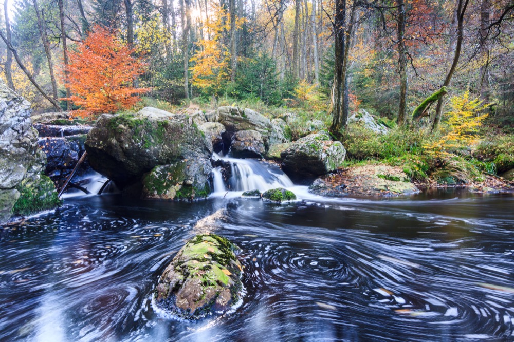 <b>Hohes Venn: Wasser and Moor</b><br />31.10.2025 - 02.11.2025 8 <b>Hohes Venn: Wasser and Moor</b><br />31.10.2025 - 02.11.2025 – Bild 8