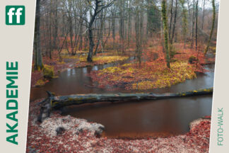 fotoforum Akademie 36 Monat der Naturfotografie: Foto-Walk am Rotbach