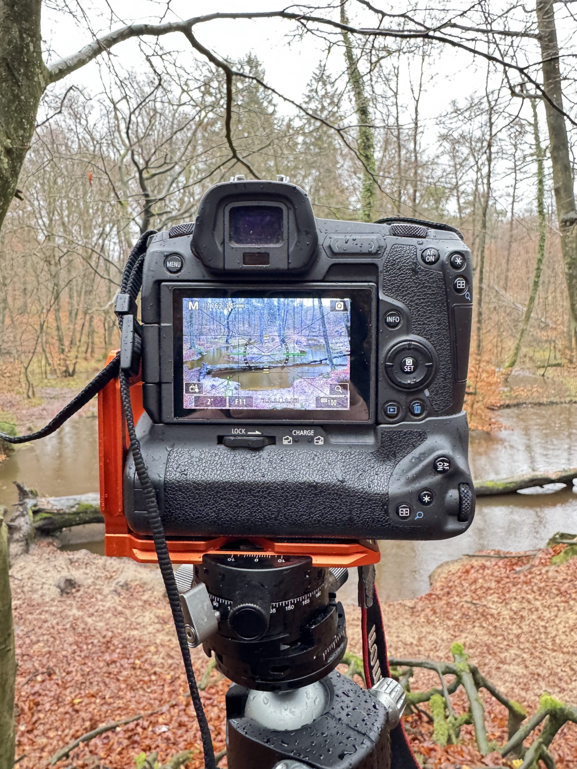 <b>Monat der Naturfotografie: Foto-Walk am Rotbach</b><br />15.11.2025 6 Monat der Naturfotografie: Foto-Walk am Rotbach