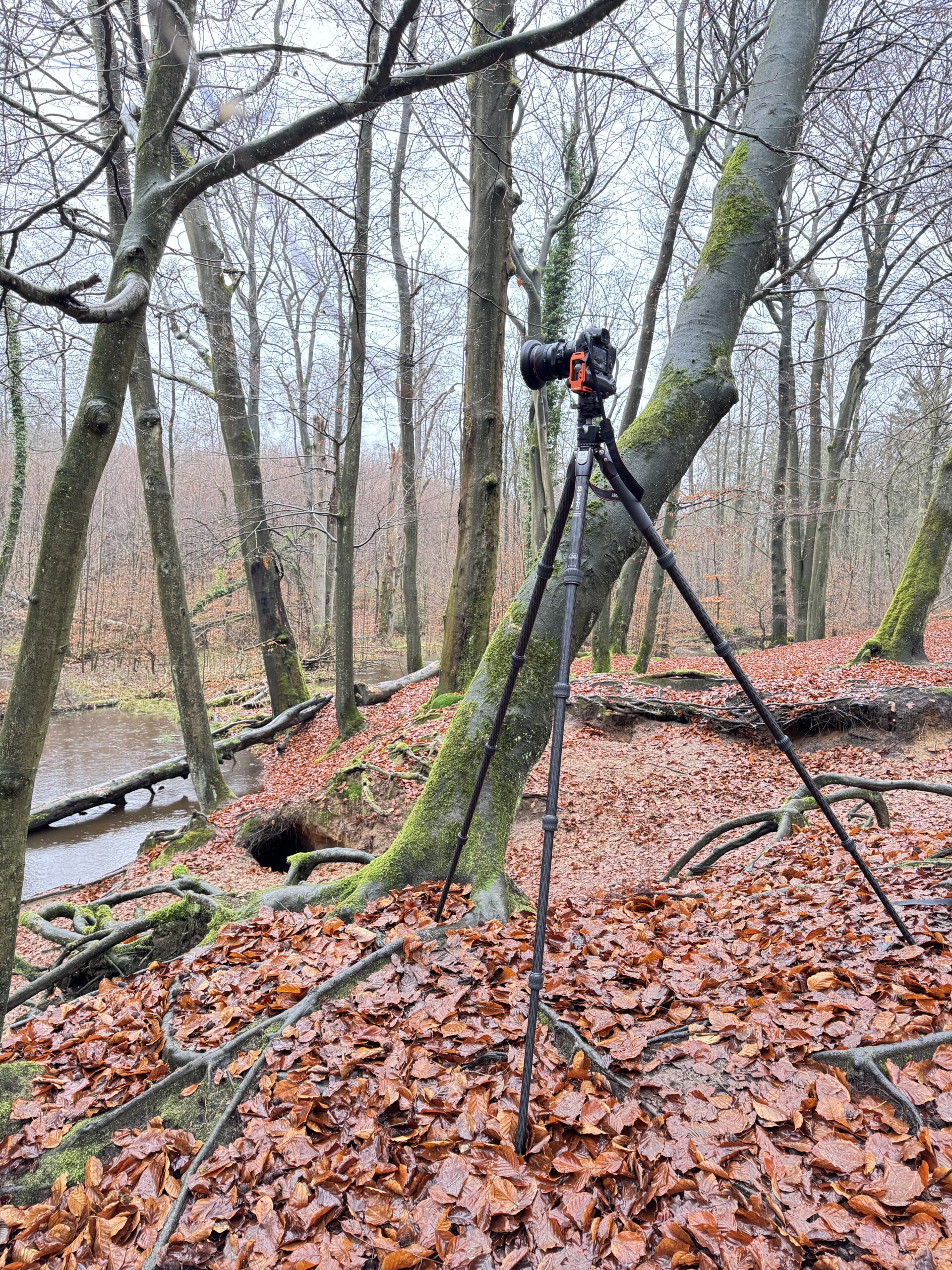 <b>Monat der Naturfotografie: Foto-Walk am Rotbach</b><br />15.11.2025 7 Monat der Naturfotografie: Foto-Walk am Rotbach