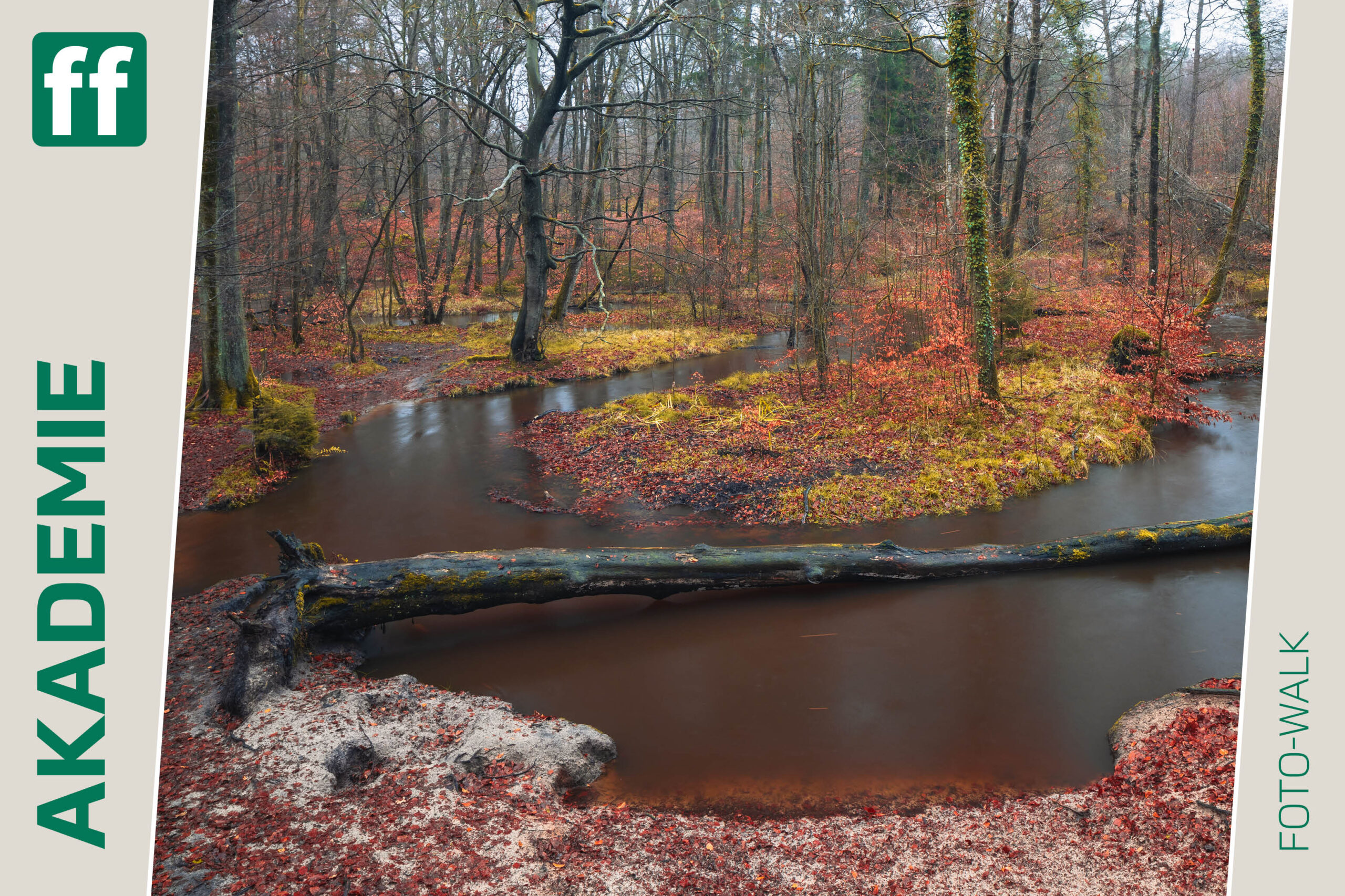 <b>Monat der Naturfotografie: Foto-Walk am Rotbach</b><br />15.11.2025 1 Monat der Naturfotografie: Foto-Walk am Rotbach