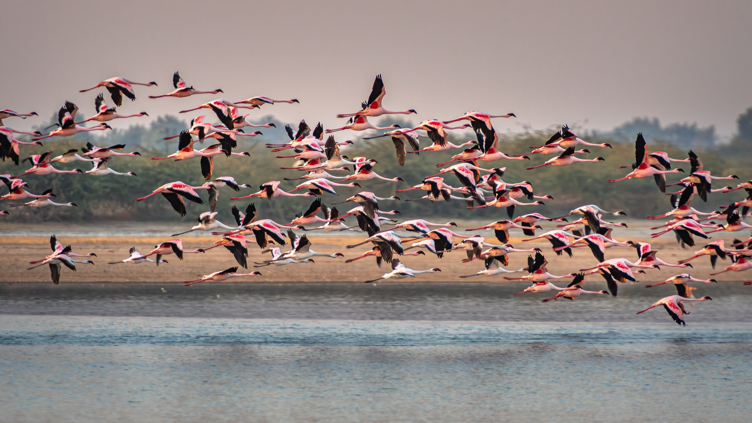 <b>Monat der Naturfotografie: Thorge Berger: Wild World India</b><br />28.11.2025 4 Monat der Naturfotografie: Thorge Berger: Wild World India