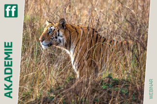 fotoforum Akademie 42 Monat der Naturfotografie: Thorge Berger: Wild World India