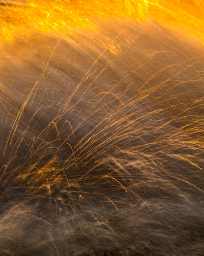 Monat der Naturfotografie – Inspiration Natur mit Willi Rolfes