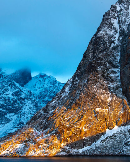 Monat der Naturfotografie – Inspiration Natur mit Willi Rolfes